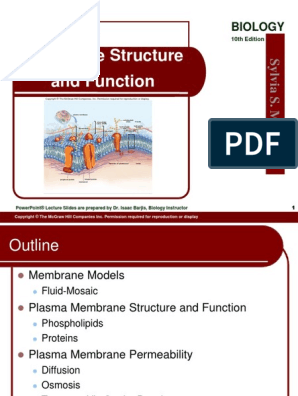 05 Lecture Animation PPT | PDF | Cell Membrane | Osmosis