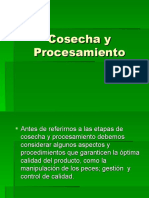 06 Cosecha y Procesamiento