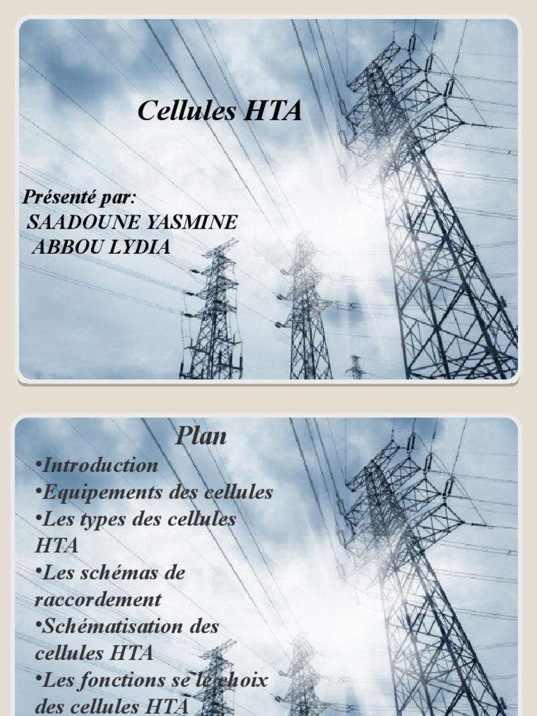 cellules-hta-types-et-fonctionnalit-s-pdf