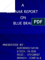 A Seminar Report ON Blue Brain