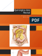 Anatomía Quirúrgica Ano Rectal