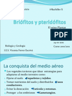 Briófitos y Pteridófitos97