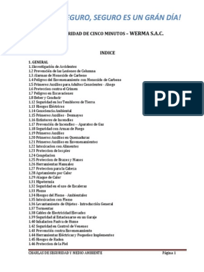 Pantalla para chimenea a prueba de bebé, cubierta protectora de chispas de  42 pulgadas de ancho, protector de seguridad para niños, alto