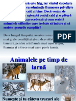 Animalele Iarna