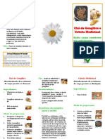 Faça você mesmo cebola e gengibre