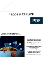 CRISPR - Fagos