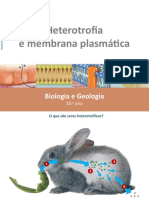 30 Hetrotrofia e Membrana Plasmática