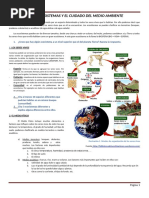 Ecosistemas Cuidado Medio Ambiente