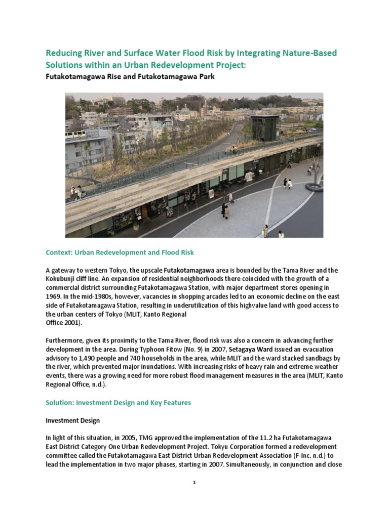 Nature-Based Flood Solutions in Tokyo | PDF | Natural Environment ...