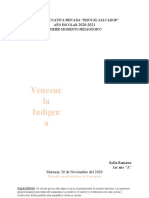 Trabajo Escrito Sobre Venezuela Indígena