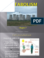 Metabolism: FON 241 L. Zienkewicz