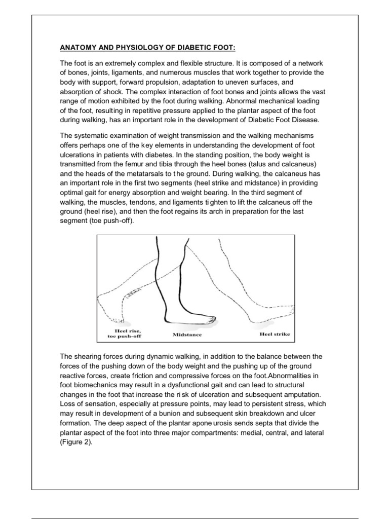 Diabetic Foot Ulcer Case Study | PDF | Wound | Wound Healing