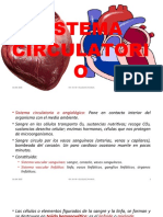 IV. Sistema Circulatorio