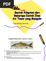 Download Bentuk Adaptasi Dari Beberapa Contoh Ikan by 081266864654 SN49395435 doc pdf