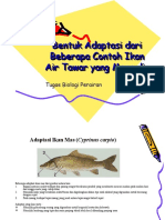 Bentuk Adaptasi Dari Beberapa Contoh Ikan