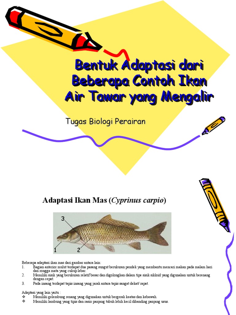 Bentuk Adaptasi Dari Beberapa Contoh Ikan