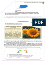 Ensino Religioso 6º Ano - Aula 01