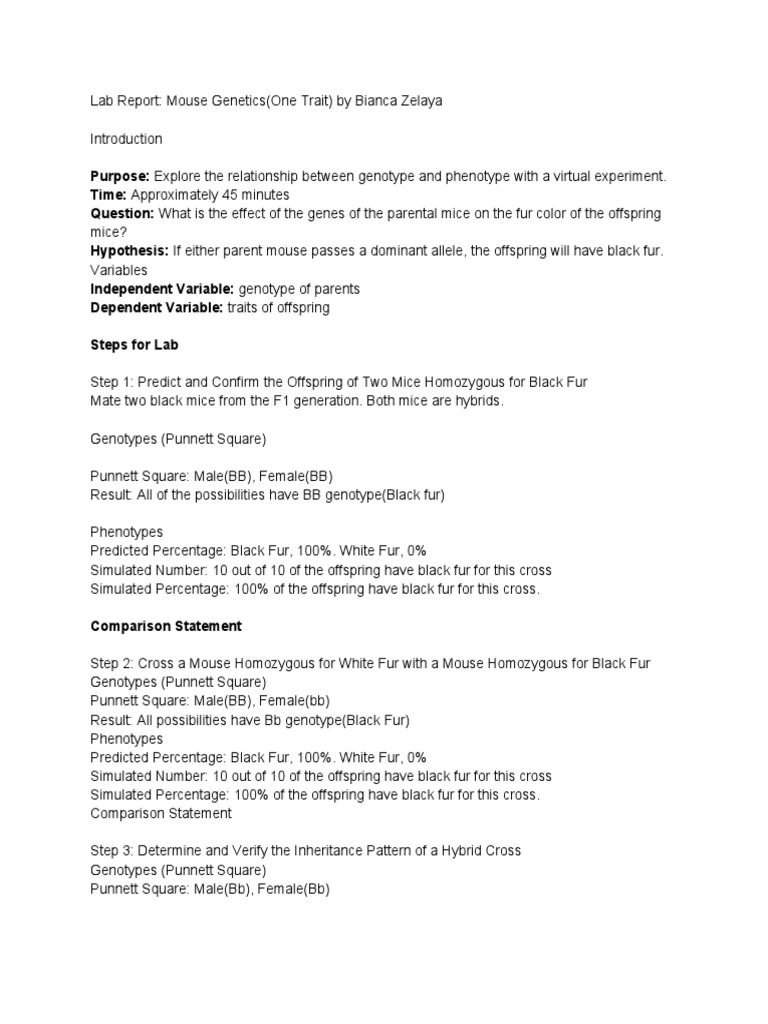 Lab Report Mouse (One Trait) PDF Genotype