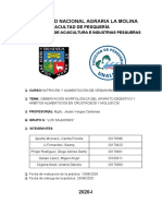 Informe Nº4 Sistema Digestivo en Crustáceos y Moluscos.
