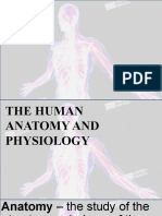 anatomy and physiology