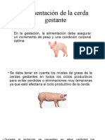 Alimentación de La Cerda Gestante