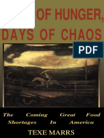 Days of Hunger, Days of Chaos- Texe Marrs