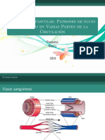 Patrones de Flujo Del Sistema Vascular