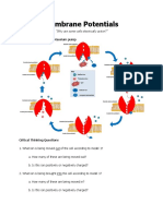 Membrane Potentials: "Why Are Some Cells Electrically Active?"