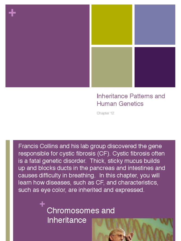Inheritance Patterns and Human Genetics | PDF | Genetic Linkage ...
