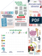 JurnalAlimentar Malingsystem Lowrez