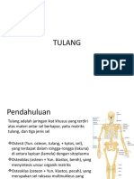 PPT Tulang dg dr.TATA