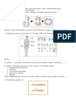 Soal Latihan Mutasi