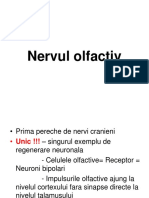 10.1 Nervii Cranieni (1)