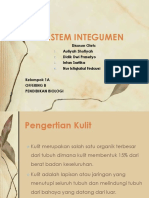 sistemintegumenfix-140203001939-phpapp01