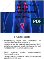 Anatomi Fisiologi Traktus Urinarius (Sistem Saluran Kemih) : - Andry Sartika