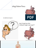 Anatomi Fisiologi Sistem Pencernaan: By: Mei Eka W, S.Kep.,Ns