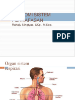 Anatomifisiologisistempernafasan tm1 121218185223 Phpapp02