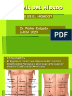 Anatomia Higado-Pancreas