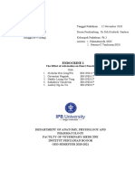 Group (3) - Lab Report Fisvet 1 - P6 - Week 9