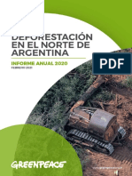 Deforestación en El Norte de Argentina - Informe Anual 2020