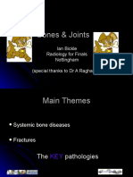 Bones and Joints