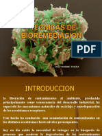 Aspectos Generales de Biorremediacion