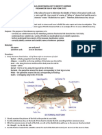 Identify Freshwater Fish with a Dichotomous Key