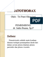 HEMATOTHORAX