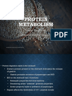 Protein Metabolism: Stoker Chapter 26 Lippincott Chapter 19 and 20