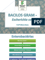 Bacilos Gram-negativos anaeróbios facultativos da microbiota intestinal humana