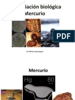 Semana 13 A - Biorremediacion - Teoria - Remediacion Del Mercurio