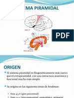 SÍNDROME PIRAMIDAL