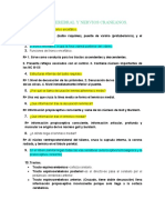 Guía de Neuroanatomía 2° Parcial.