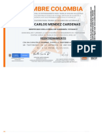 Certiicado Alturas - PDF 2020